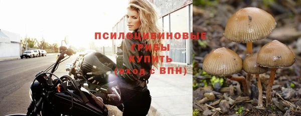 мет Алзамай